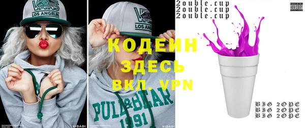 индика Козловка