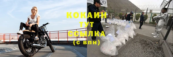 мдпв Кинешма
